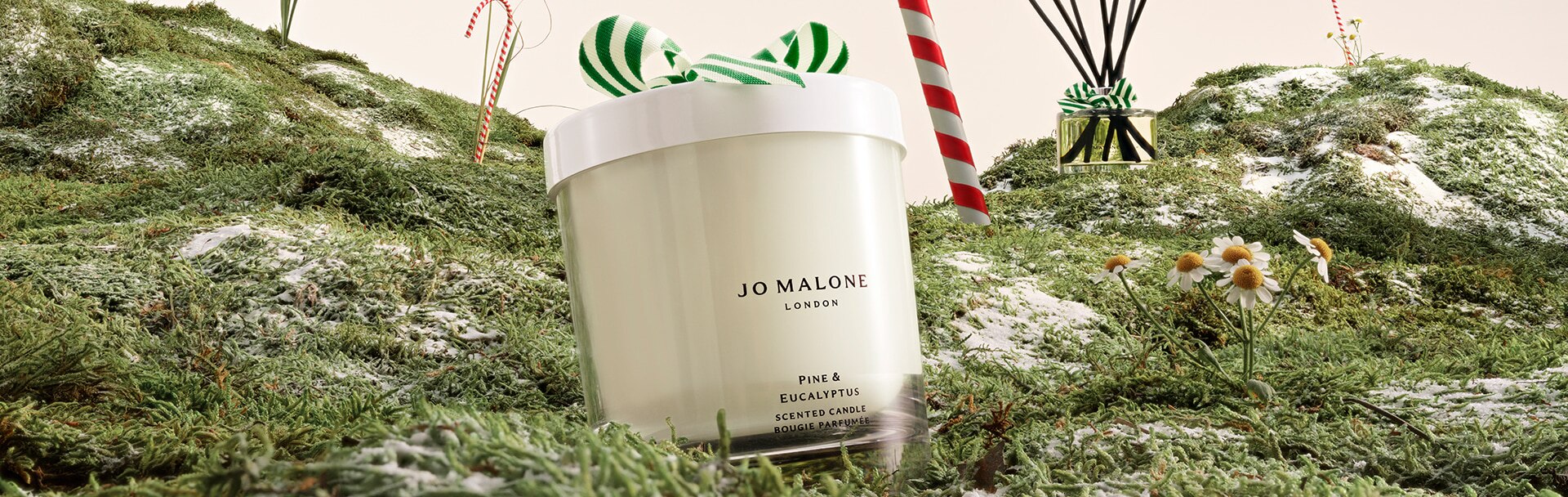 pine & eucalyptus home candle & diffuser, amongst snowballs and on a bed of moss with candy canes