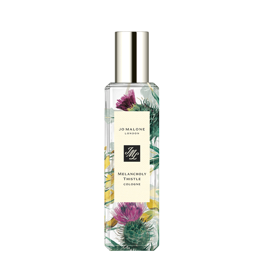 Melancholy Thistle Cologne