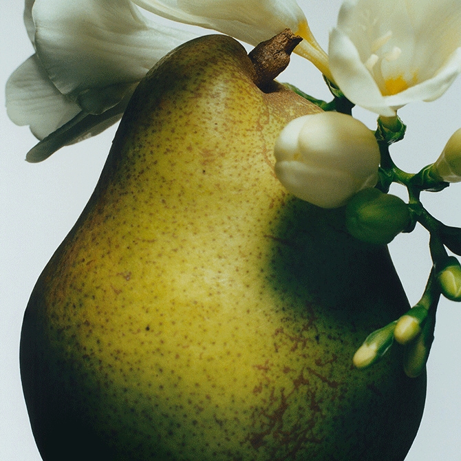 250ml | english pear & freesia body & hand wash
